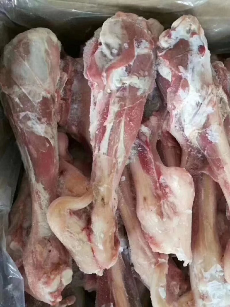 羔羊后腱子，把手抓小羊腿