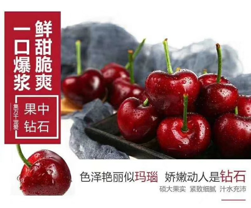 美早大樱桃