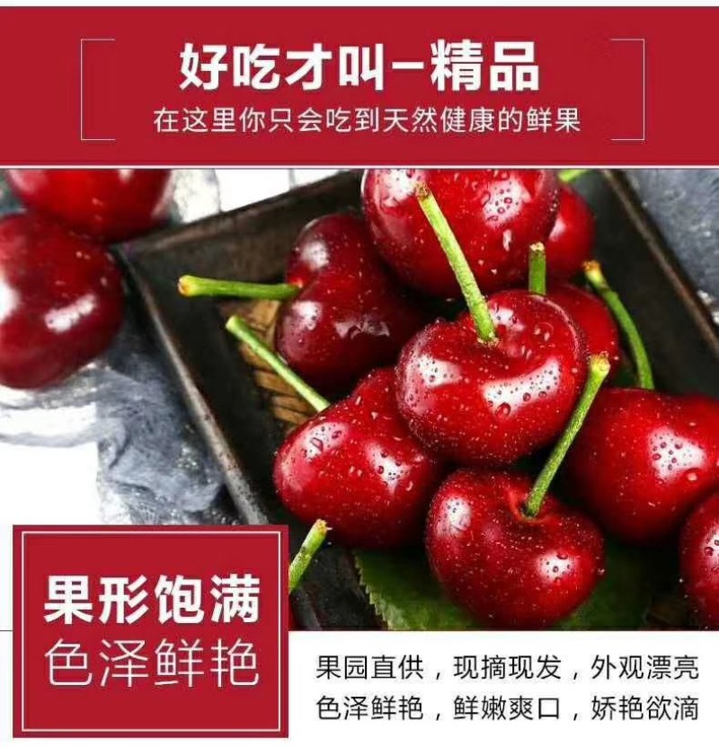 美早大樱桃