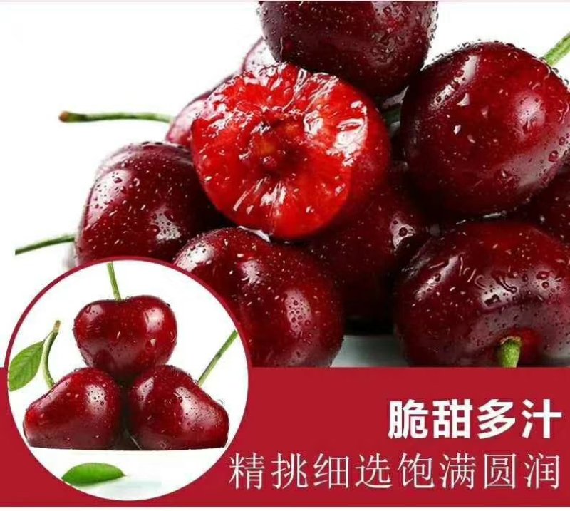 美早大樱桃