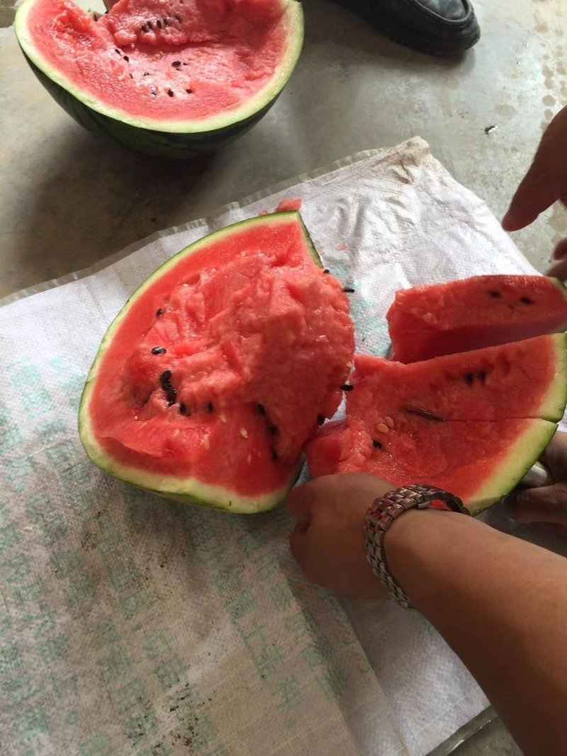 甜王西瓜