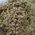 麦芽河北无硫熏正品生/炒/焦麦芽质量保障！一公斤起发货