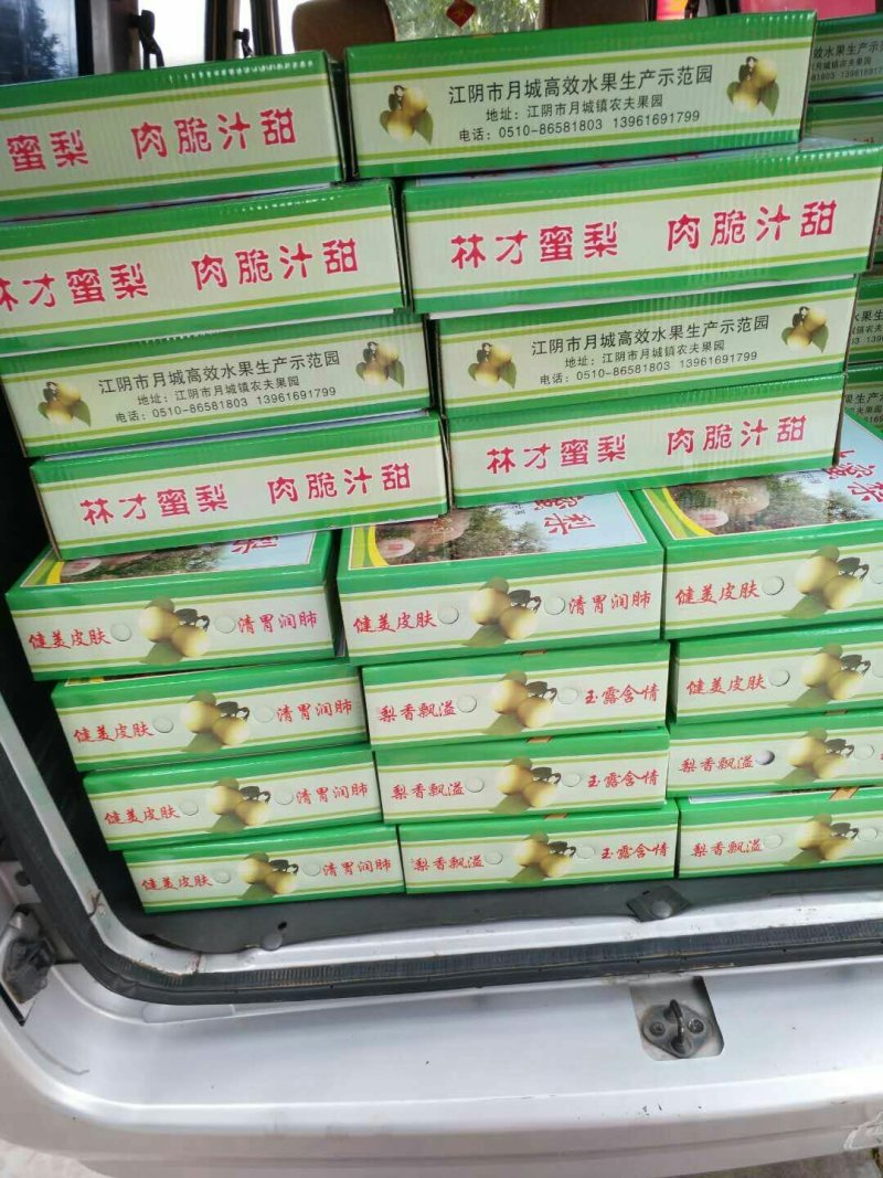 江阴翠冠梨大量上市水果梨子批发包邮当季雪梨翠冠梨