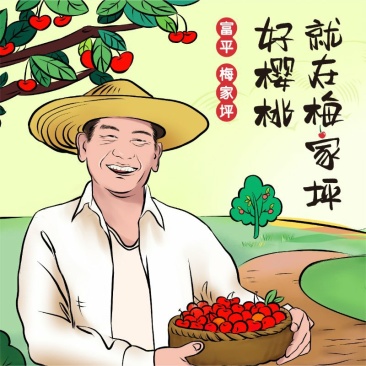 富平梅坪镇新安村电商服务