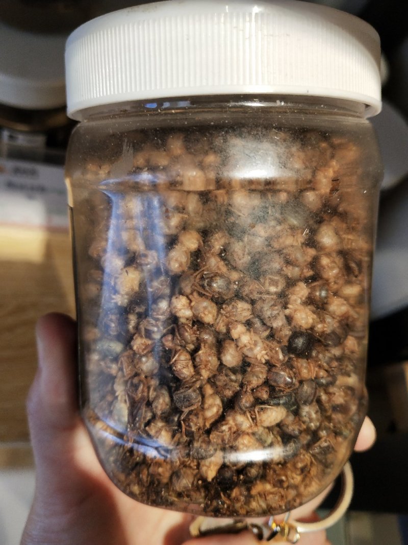 云南酸蚂蚁枇杷膏皂角洗发
