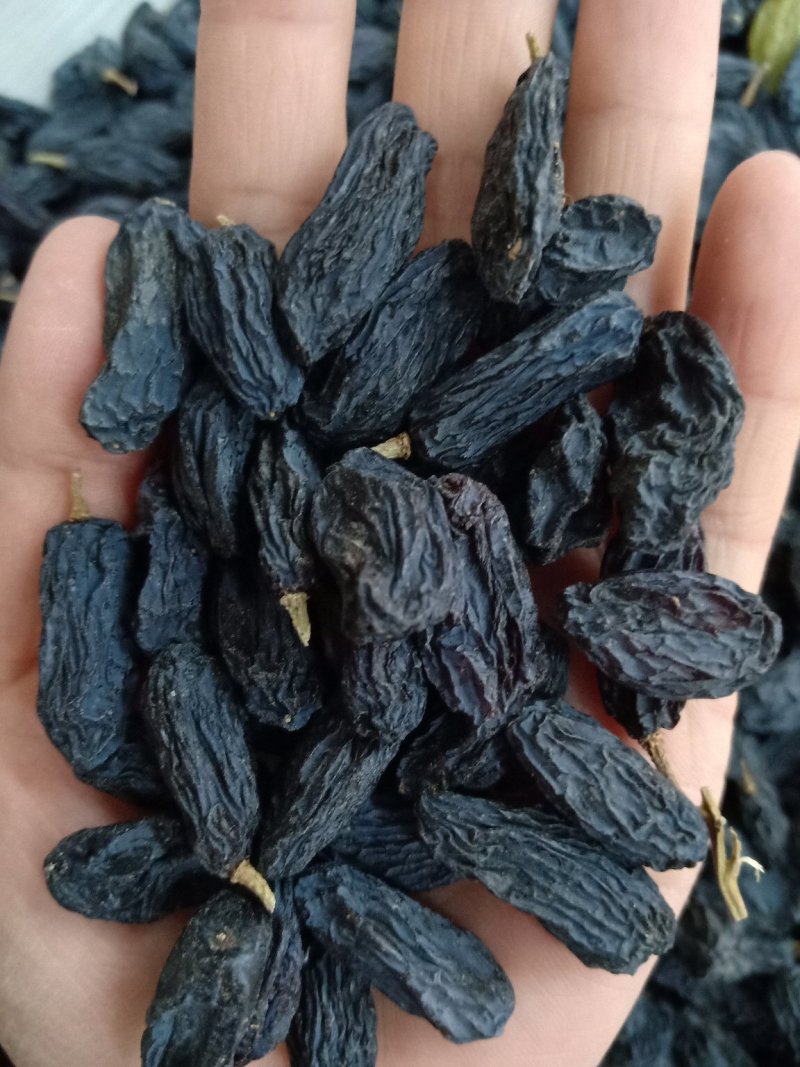 黑加仑葡萄干