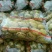 滕州精品土豆，荷兰十五土豆颜色漂亮可以根据客户要求装
