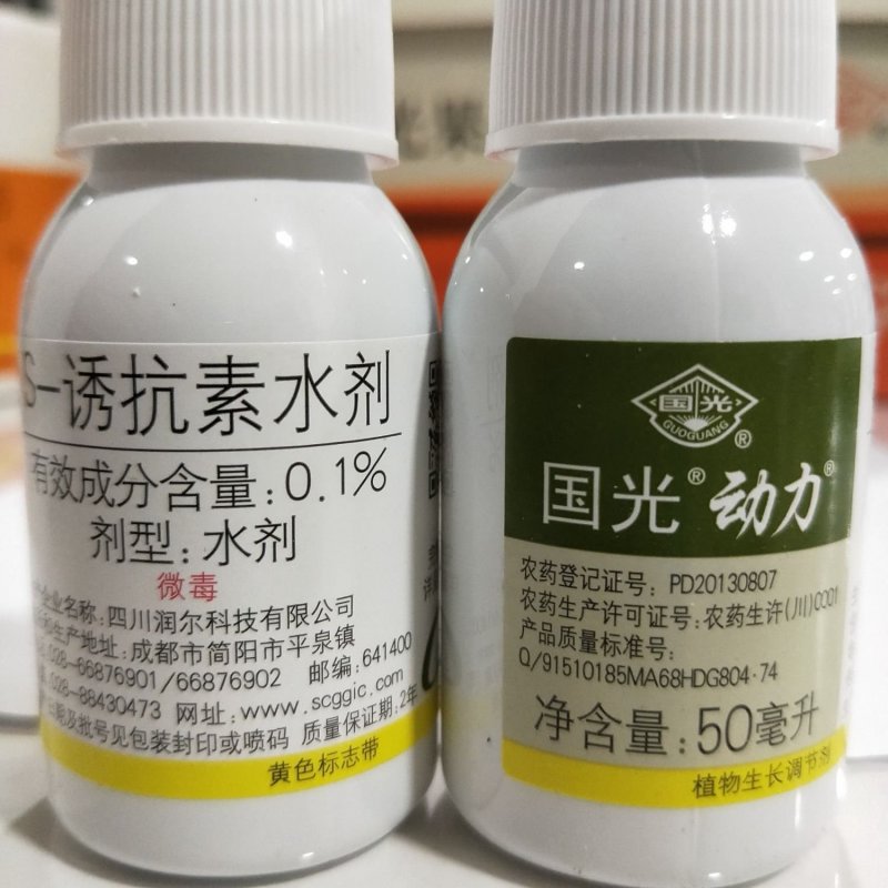 国光动力生根剂大树生根液生根粉包邮移栽盆栽花卉多肉月季