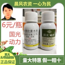国光动力生根剂大树生根液生根粉包邮移栽盆栽花卉多肉月季