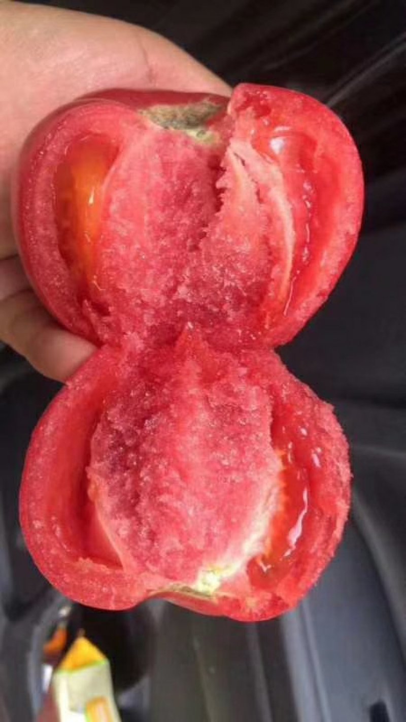 吐鲁番沙瓤西红柿