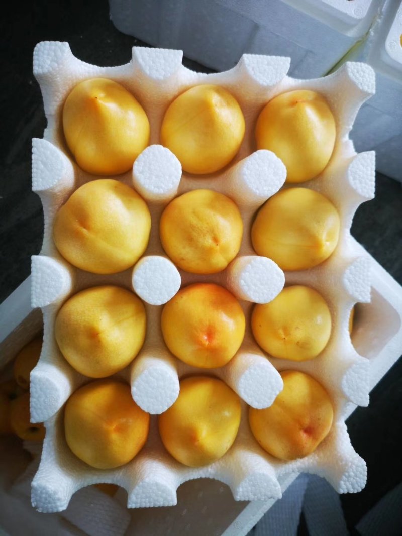 油桃新鲜水果当季整箱5斤包邮当季时令水蜜桃现摘现发黄油桃