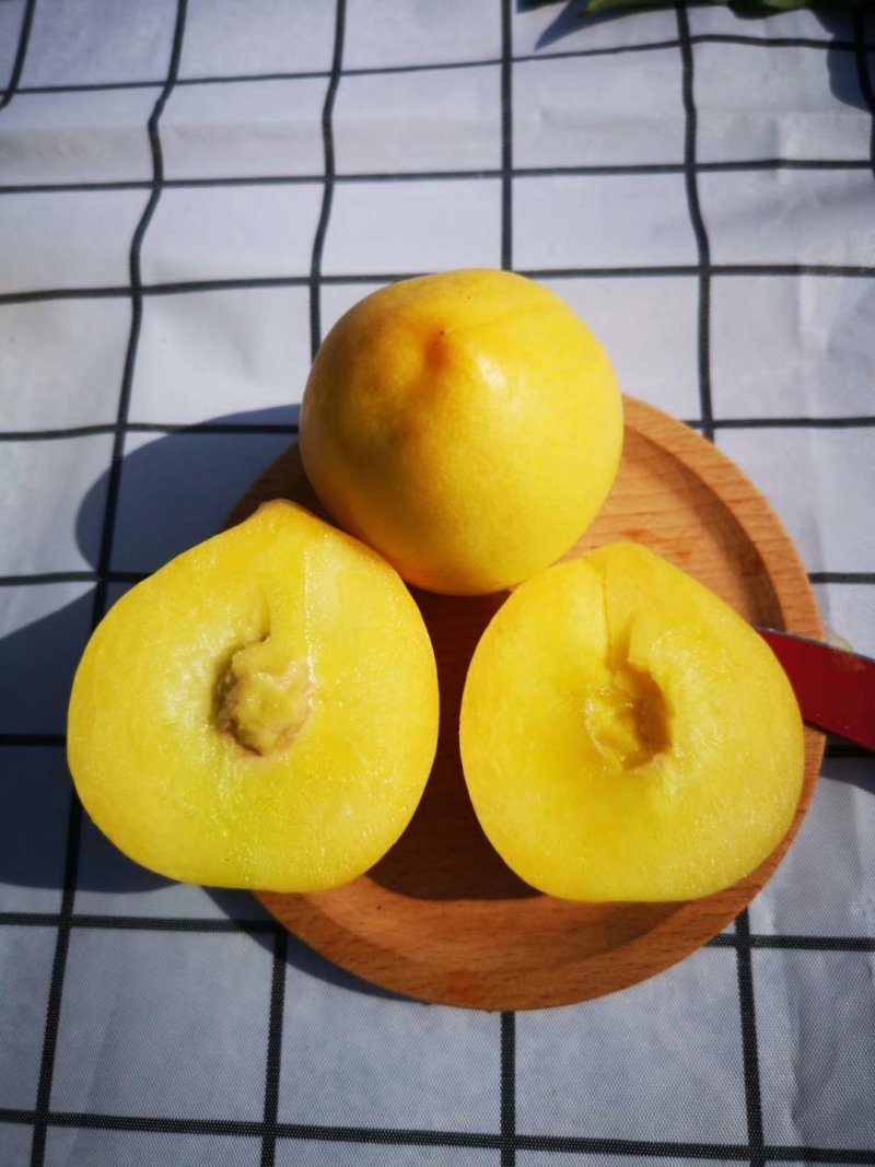 油桃新鲜水果当季整箱5斤包邮当季时令水蜜桃现摘现发黄油桃