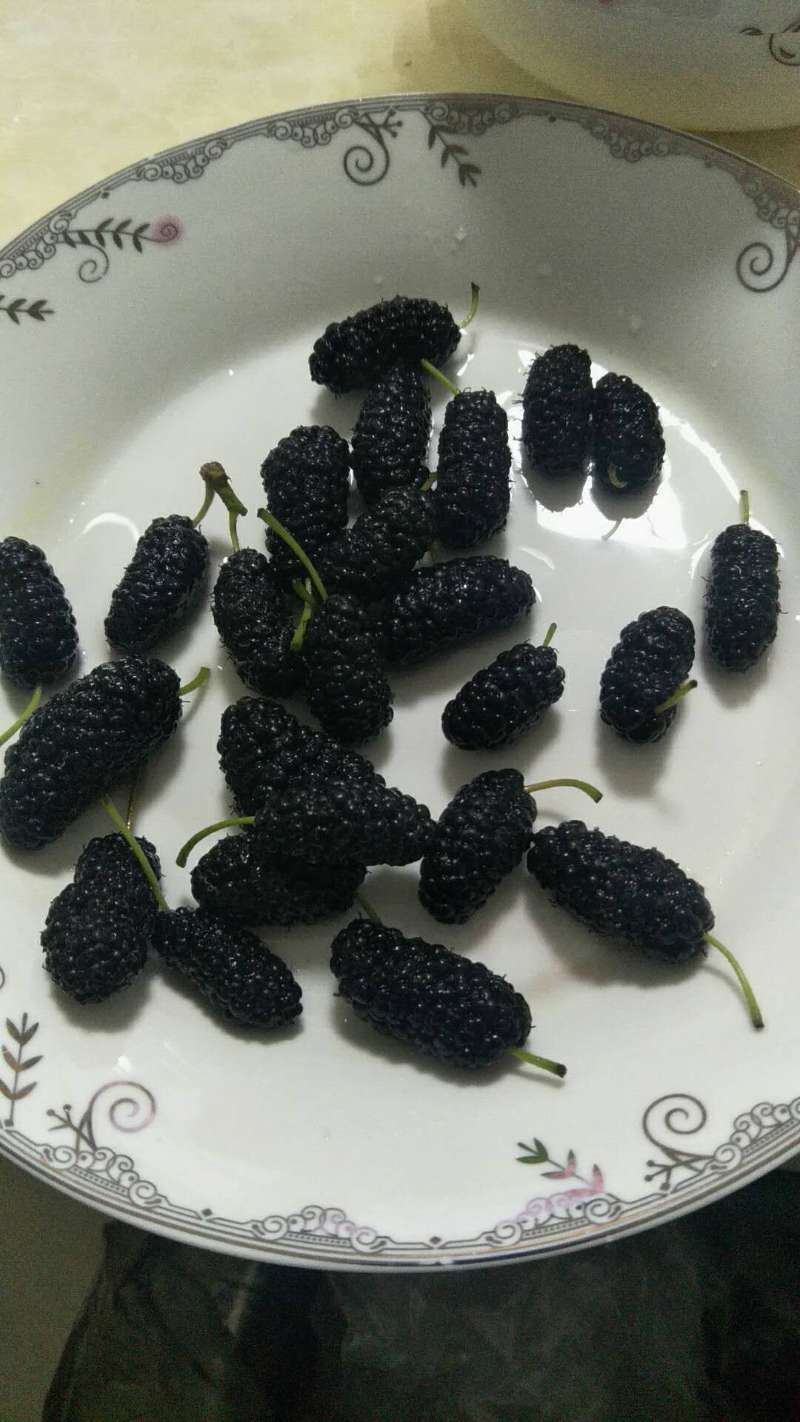 吐鲁番桑葚干