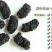 吐鲁番桑葚干