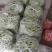 芸豆30cm以上