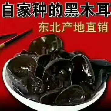 2019年，毛木耳开始采始晾晒中……欢迎新老客户打扰[