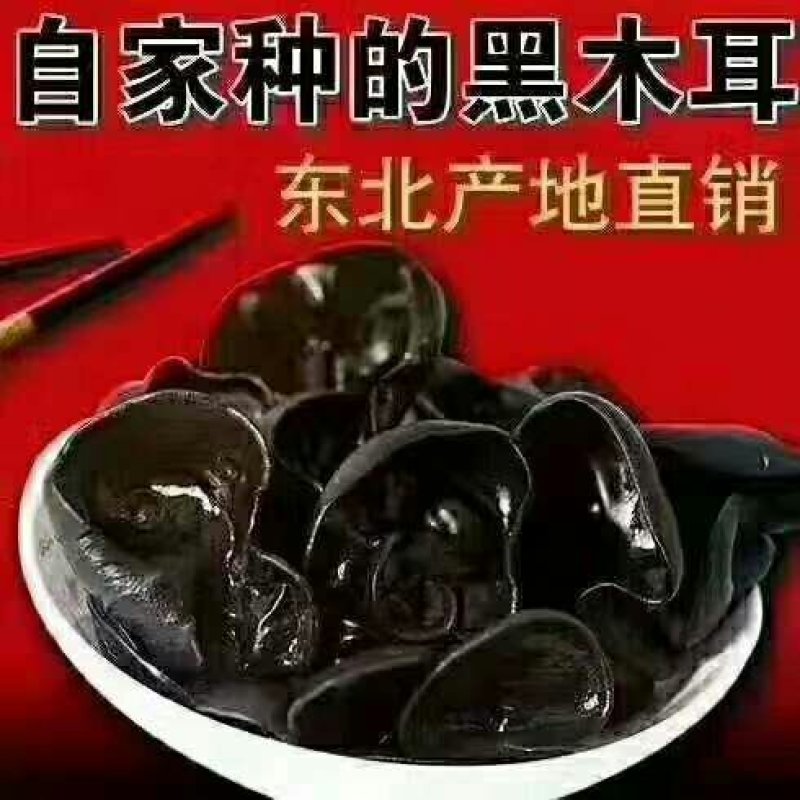 2019年，毛木耳开始采始晾晒中……欢迎新老客户打扰[