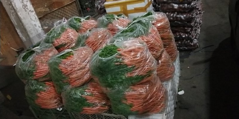 有机手指萝卜