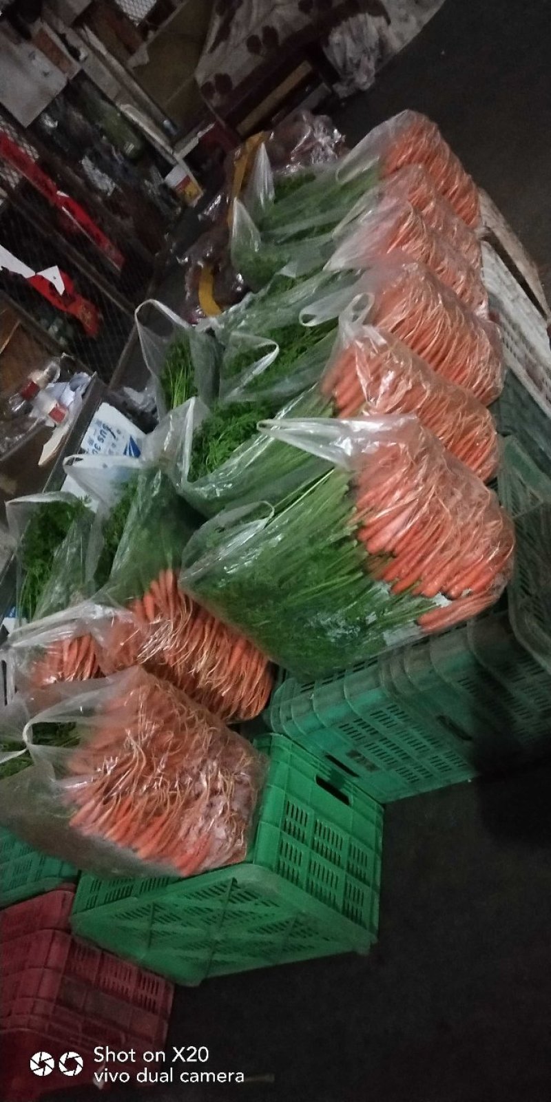 有机手指萝卜