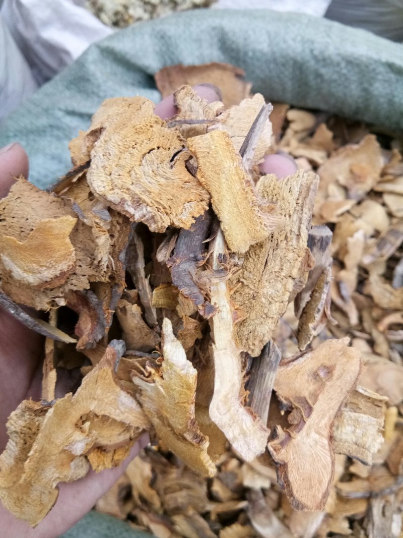虎杖湖南无硫熏选货货源充足一公斤起发货