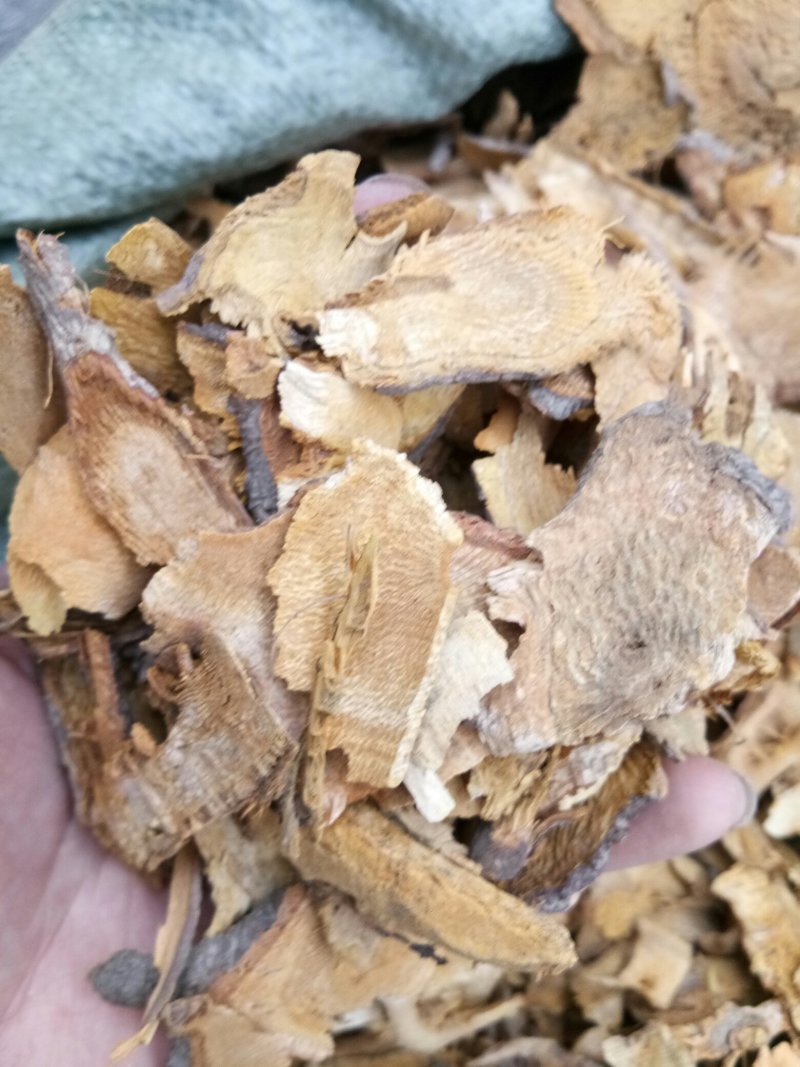 虎杖湖南无硫熏选货货源充足一公斤起发货