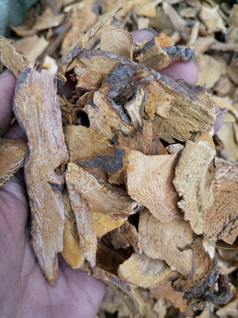 虎杖湖南无硫熏选货货源充足一公斤起发货