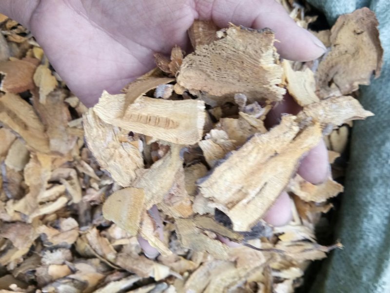 虎杖湖南无硫熏选货货源充足一公斤起发货