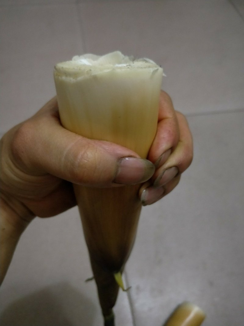 一根4两左右无小货