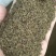 蒲公英种子