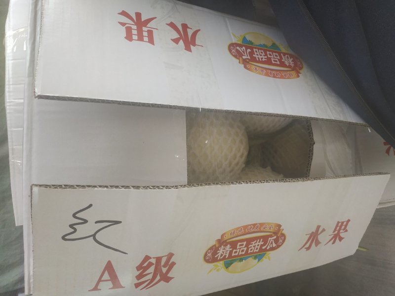甜瓜大量供应万亩保质保量