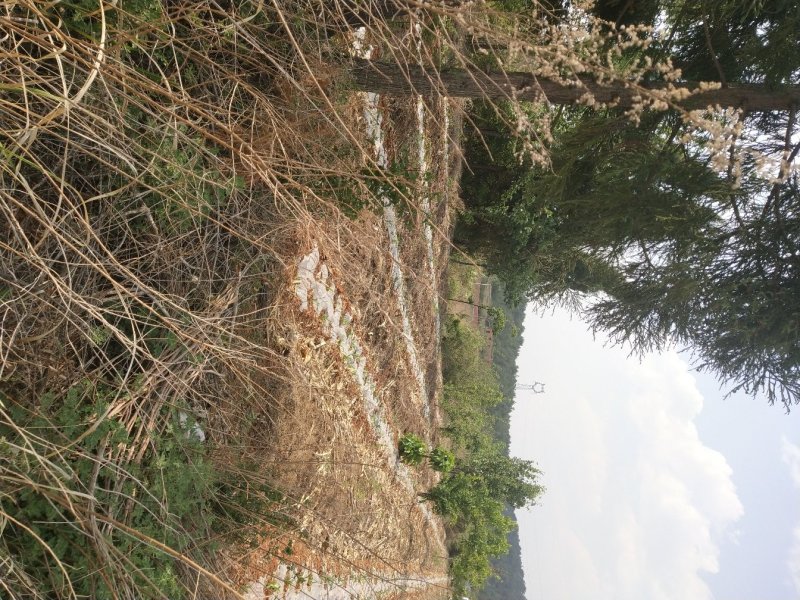 山地出租