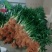 海口基地观音竹，【莲花竹】批发花瓶批发（泰博）