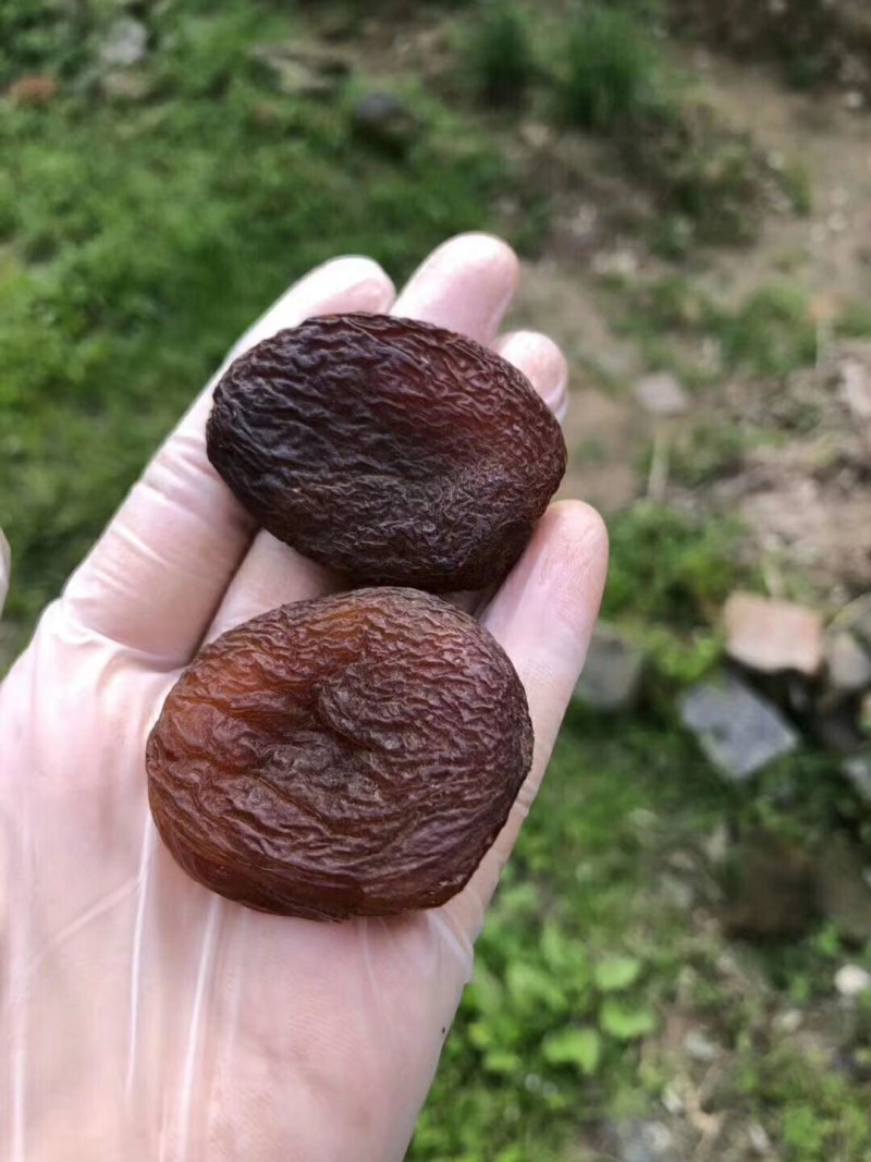 土耳其黑杏干孕妇宝宝放心果脯