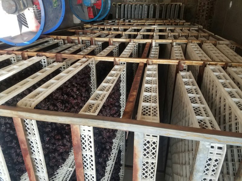 黑枣紫金枣乌枣泡酒枣熏枣非红枣免洗狗头枣南枣马牙枣