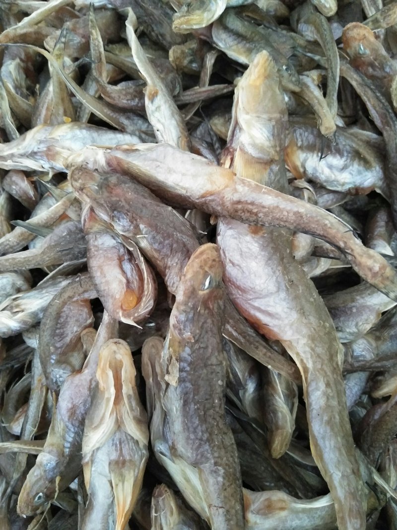 油光鱼