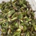 刺嫩芽批发…，黑龙江刺嫩芽