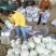 菜花精品松花菜产地直发电商市场商超货源欢迎选购