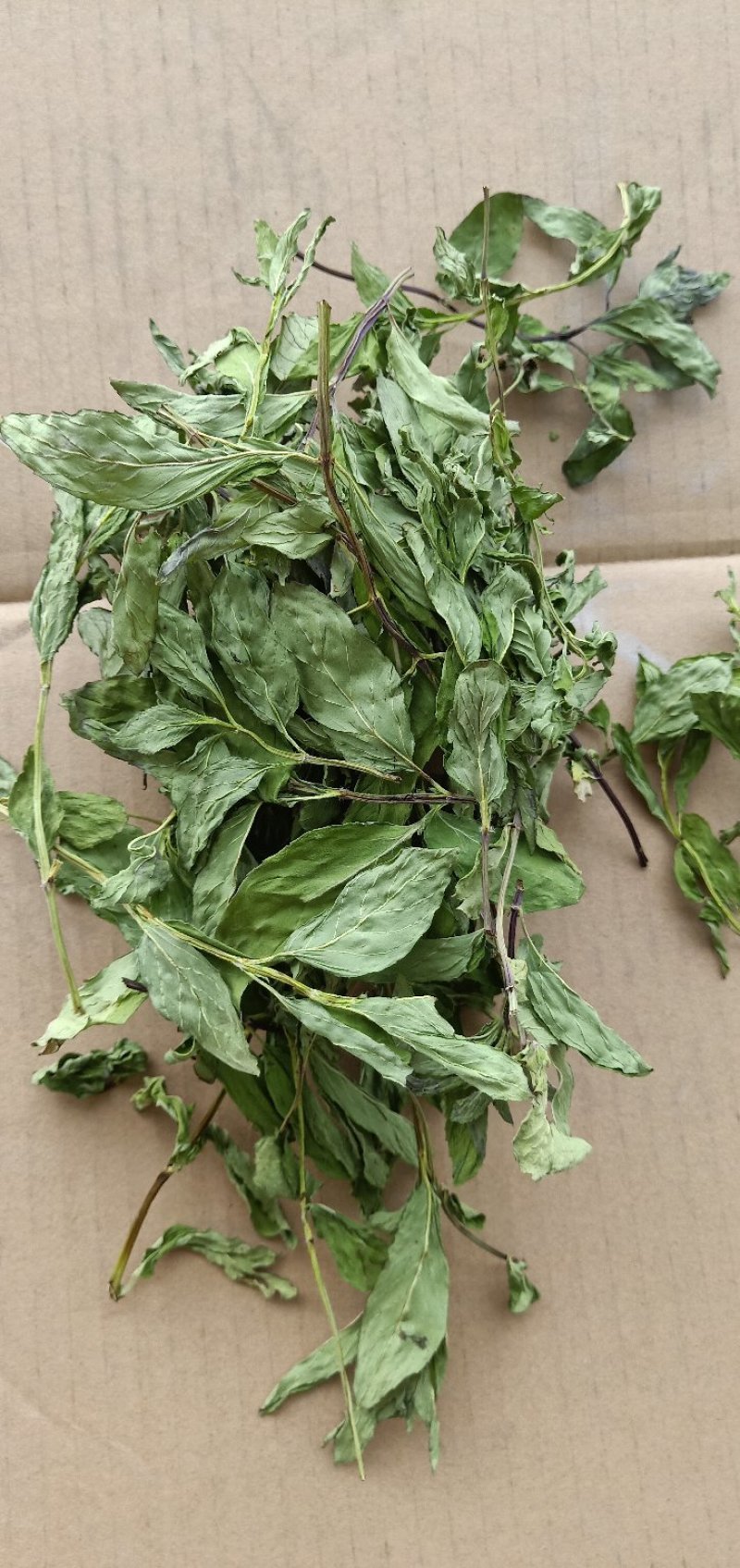 本合作社有薄荷叶十三吨，需要的请联系一亩田