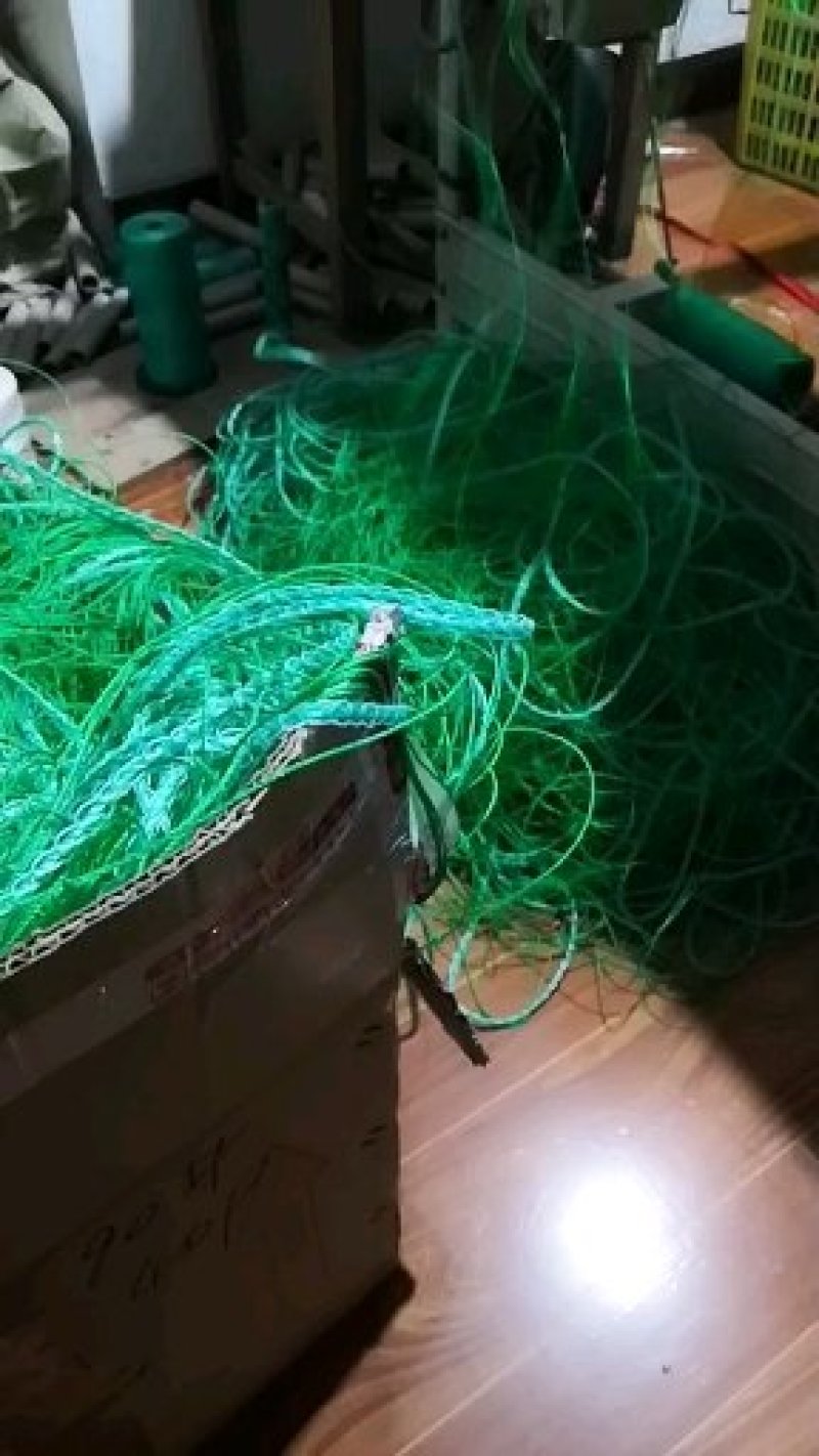 菊花网