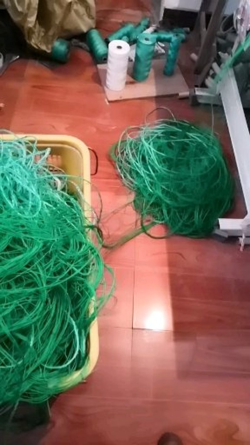 菊花网