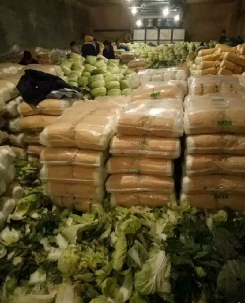 黄心白菜，供应量大，供货期长