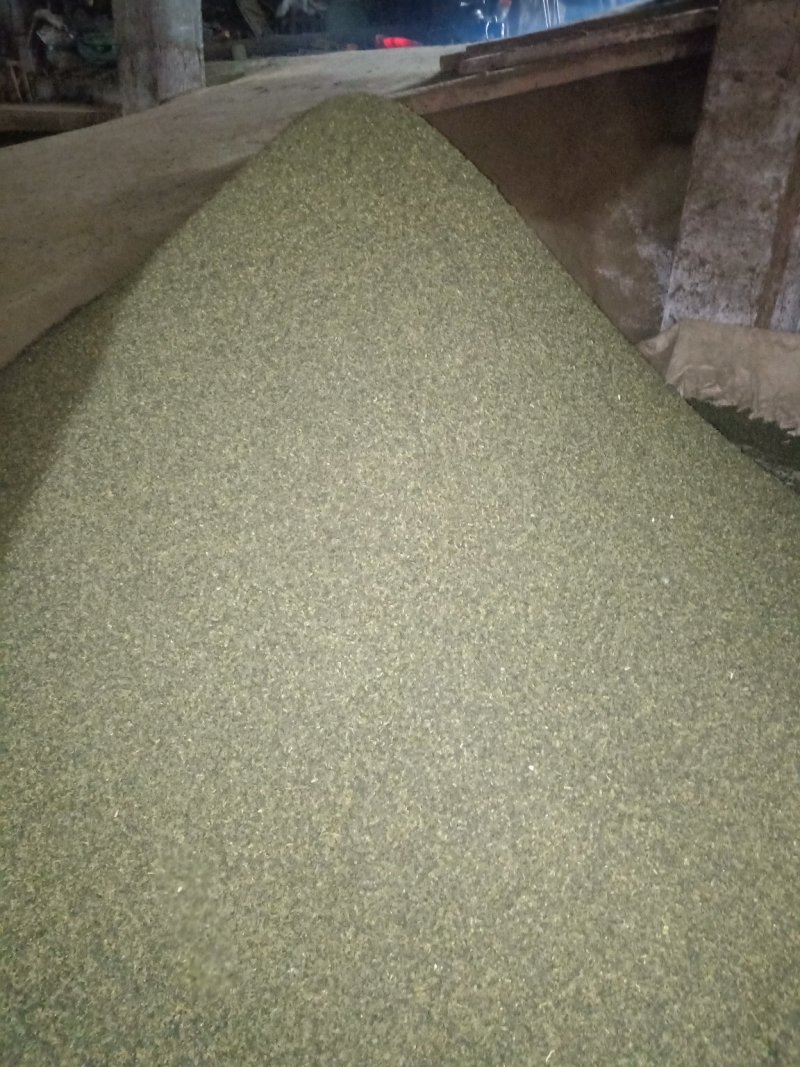 茶叶特价铁观音浓香型铁观音散装正品乌龙茶
