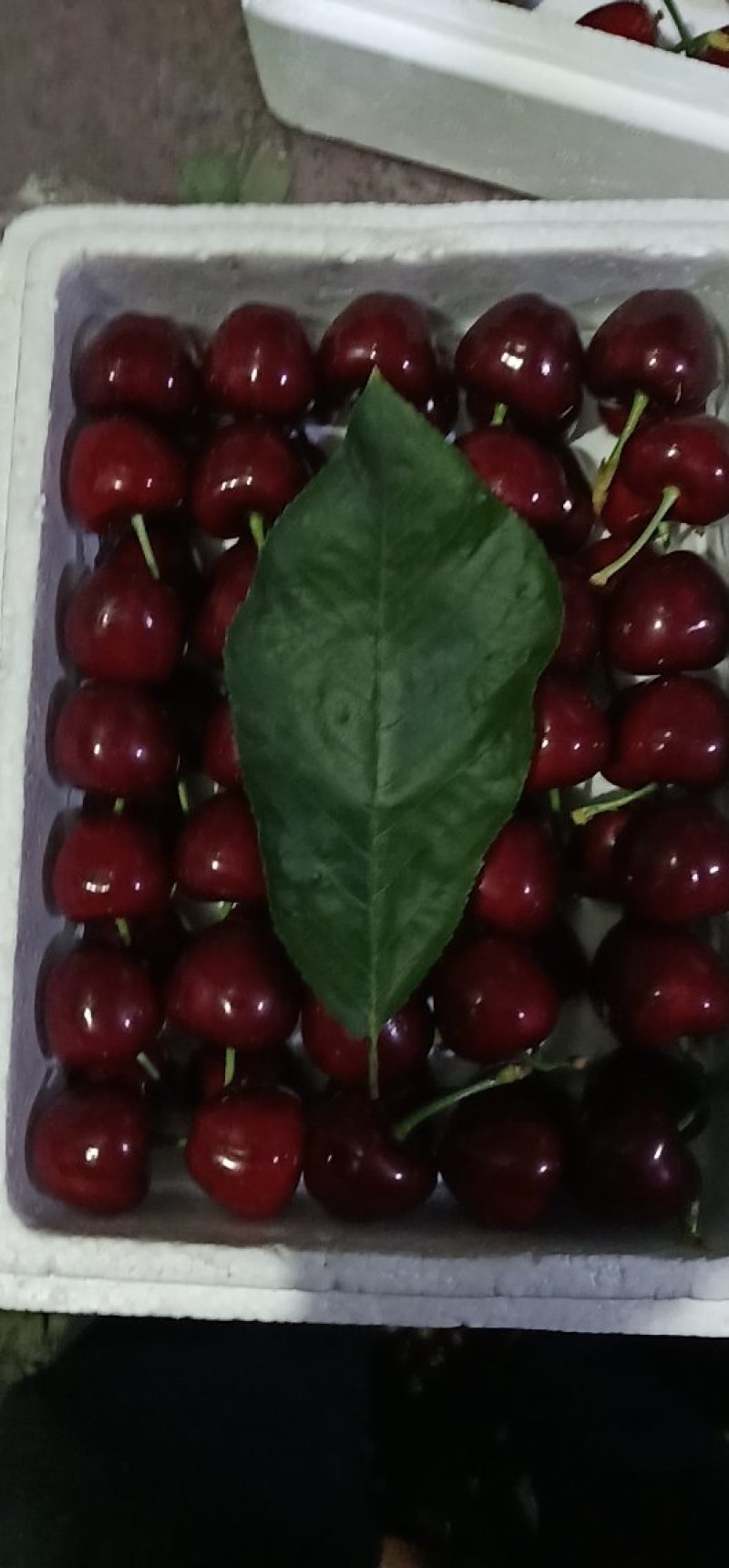 樱桃