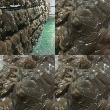 熟羊肉
