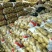 山东聊城优质荷兰十五土豆大量供应，产地直发价格便宜
