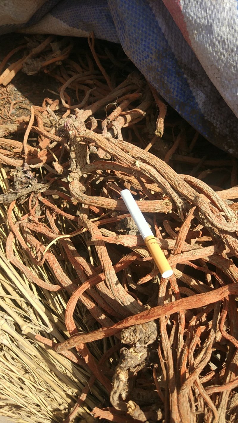 丹参干货一级货谁要联系