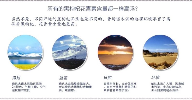 黑枸杞野生正品特级柴达木诺木洪大果精选枸杞100g青海特