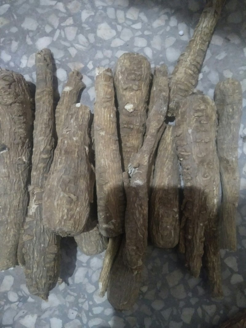 【推荐】白芷：亳白芷各种规格干净无杂质产地直发量大优包邮