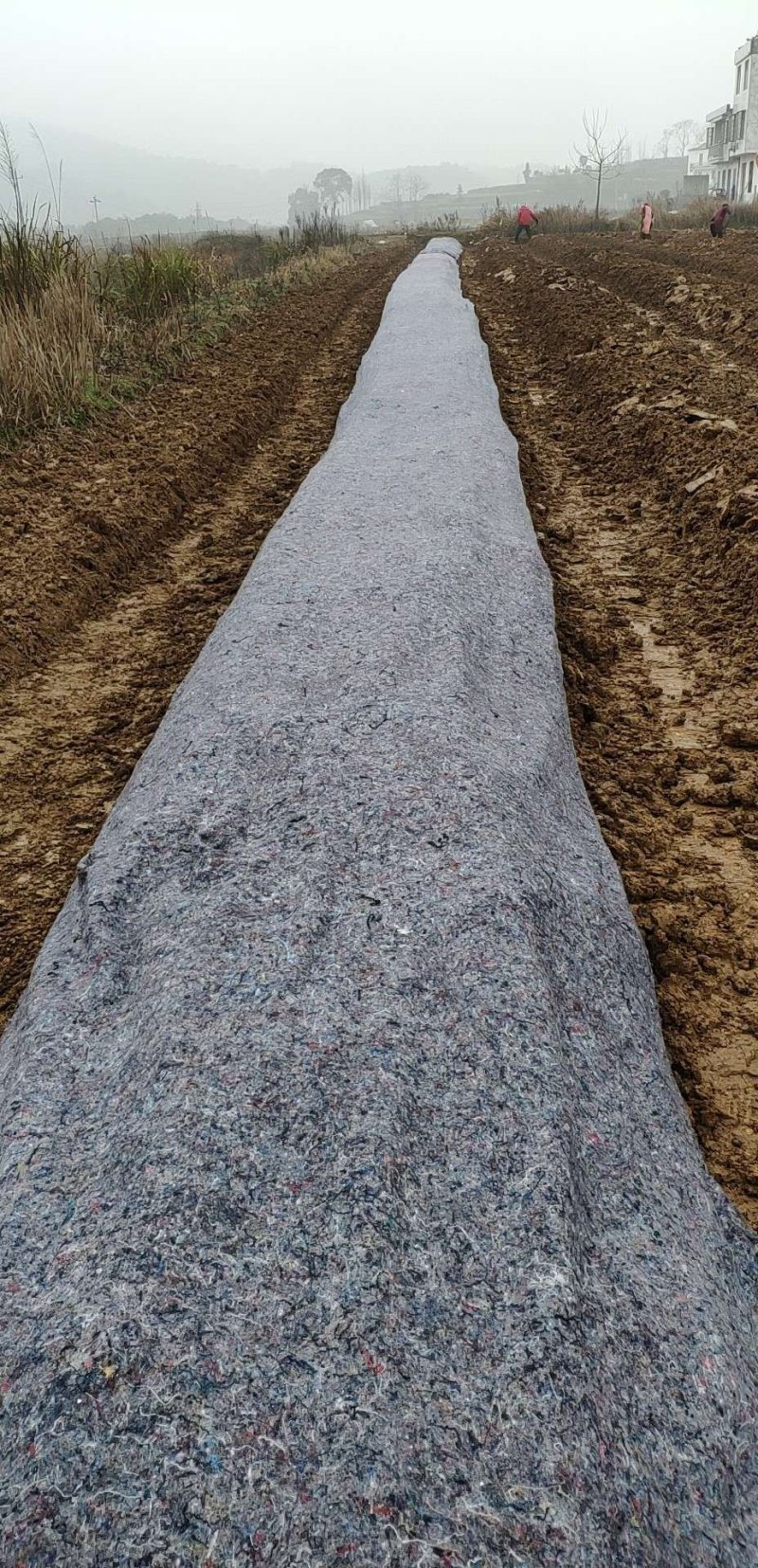 厂家低价直供南方地区苗木除草布防草效果好