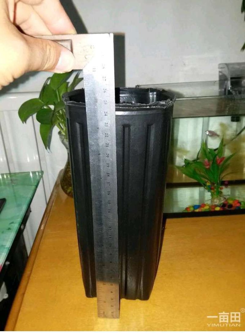 育苗袋营养杯方杯16x32包邮到家！